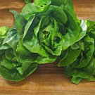 200X Seeds - LETTUCE MINI COS LITTLE GEM Vegetable Seeds - Garden Vegetable Seeds