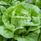 500X Seeds - LETTUCE Green Mignonette Vegetable Seeds - Garden Vegetable Seeds