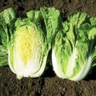 100X Seeds - CABBAGE 'Wong Bok' Vegetable Seeds - Garden Vegetable Seeds