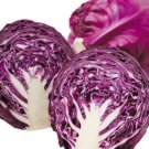 150X Seeds - Cabbage Seeds "Red Arce" Vegetable Seeds - Garden Vegetable Seeds
