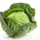 250X Seeds - Cabbage Seeds “ Savory” Vegetable Seeds - Garden Vegetable Seeds