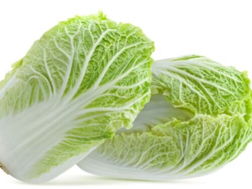 200X Seeds - Chinese Cabbage Seeds &acirc;��Wong Bok&acirc;�� Vegetable Seeds - Garden Vegetable Seeds