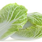 200X Seeds - Chinese Cabbage Seeds “Wong Bok” Vegetable Seeds - Garden Vegetable Seeds
