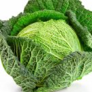 200X Seeds - Cabbage Seeds "Green Savoy" Vegetable Seeds - Garden Vegetable Seeds