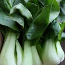120X Seeds - CABBAGE Bok Choi (baby choy) Vegetable Seeds - Garden Vegetable Seeds