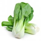 100X Seeds - Cabbage Chinese PAK CHOI GREEN Vegetable Seeds - Garden Vegetable Seeds