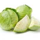 300X Seeds - Cabbage Late Flat Dutch Vegetable Seeds - Garden Vegetable Seeds