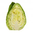 100X Seeds - Cabbage Sugarloaf Vegetable Seeds - Garden Vegetable Seeds