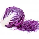 100X Seeds - CABBAGE Red Express Vegetable Seeds - Garden Vegetable Seeds
