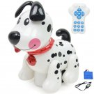 Intelligent Electronic Pet Telecontrol Dog Rechargeable Dog Touch Induction