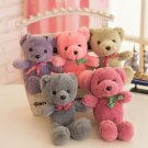 Colorful Bear Plush Toy Bear Doll Doll Machine Tactic Catch Children Throwing