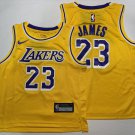 Toddler Little Kid Lakers #23 LeBron James Gold Basketball Jersey