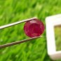 Mozambique Ruby Blood Red 4.05 cts 100% Natural Ruby UNHEATED Ruby Certified.