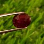 3.35cts Mozambique Ruby UNHEATED Cut Stone 100%Natural Ruby CERTIFIED Ruby AAA+