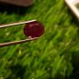 3.35cts Mozambique Ruby UNHEATED Cut Stone 100%Natural Ruby CERTIFIED Ruby AAA+