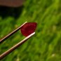 Mozambique Ruby 0.95Cts Cut Stone UNHEATED Ruby 100%Natural Ruby CERTIFIED.