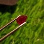 Mozambique Ruby 0.95Cts Cut Stone UNHEATED Ruby 100%Natural Ruby CERTIFIED.