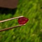 Mozambique Ruby 0.95Cts Cut Stone UNHEATED Ruby 100%Natural Ruby CERTIFIED.