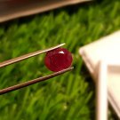 Mozambique Ruby 2.40ct Blood Red  Natural Ruby UNHEATED ( orignal price  800$ )