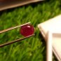 Mozambique Ruby 2.40ct Blood Red Natural Ruby UNHEATED ( orignal price 800$ )