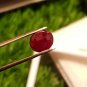 Mozambique Ruby 2.40ct Blood Red Natural Ruby UNHEATED ( orignal price 800$ )