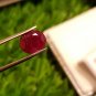 Mozambique Ruby 2.40ct Blood Red Natural Ruby UNHEATED ( orignal price 800$ )