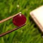 Mozambique Ruby 2.40ct Blood Red Natural Ruby UNHEATED ( orignal price 800$ )