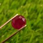Mozambique Ruby blood Red 4.05 cts 100% Natural Ruby No-HEAT Ruby Certified
