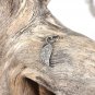 Natural Pave Diamond Angel Wing Charm 925 Sterling Silver Diamond Charms Pendant