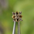 Diamond Flower Stud 14k Solid Gold Body Piercing Jewelry Nose Piercing Stud Gift
