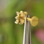 Diamond Flower Stud 14k Solid Gold Body Piercing Jewelry Nose Piercing Stud Gift