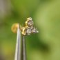 Three Diamond Nose Piercing 14k Solid Gold Tiny Body Piercing Nose Ear Stud Gift