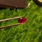 Mozambique Ruby 0.83 cts Blood Red UNHEATED 100%Natural Ruby AAA+Color CERTIFIED