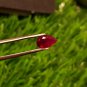 Mozambique Ruby 0.83 cts Blood Red UNHEATED 100%Natural Ruby AAA+Color CERTIFIED