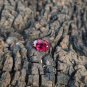 Purple Garnet 4.00Cts Mozambique Garnet CERTIFIED Grape Garnet Oval Shape Garnet