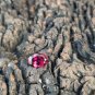 Purple Garnet 4.00Cts Mozambique Garnet CERTIFIED Grape Garnet Oval Shape Garnet