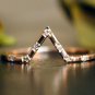 Natural Diamond Ring 14k Gold Bridal Wedding Chevron Ring Stacking Ring Band.