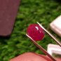 Mozambique Ruby 2.85 ct  Blood Red 100% Natural Ruby UNHEATED