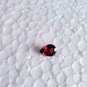 Purple Garnet 2.20Cts Mozambique Purple Garnet CERTIFIED Grape Garnet Pear Shape