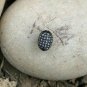 Pave Diamond Oval Beads 925 Silver Diamond Beads For Jewelry Making.
