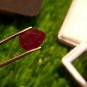 3.20 cts Mozambique Ruby Deep Blood Red UNHEATED Ruby Cut Stone 100%Natural.