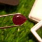3.20 cts Mozambique Ruby Deep Blood Red UNHEATED Ruby Cut Stone 100%Natural.