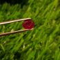 Mozambique Ruby 0.80Cts UNHEATED Ruby Cut Stone 100%Natural Ruby CERTIFIED.