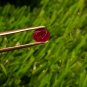 Mozambique Ruby 0.80Cts UNHEATED Ruby Cut Stone 100%Natural Ruby CERTIFIED.