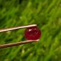 Mozambique Ruby 0.80Cts UNHEATED Ruby Cut Stone 100%Natural Ruby CERTIFIED.