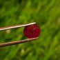 Mozambique Ruby 0.80Cts UNHEATED Ruby Cut Stone 100%Natural Ruby CERTIFIED.