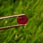 Mozambique Ruby 0.80Cts UNHEATED Ruby Cut Stone 100%Natural Ruby CERTIFIED.