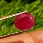 Mozambique Ruby 5.10 cts Blood Red Ruby UNHEATED 100%Natural Ruby Cut Stone.