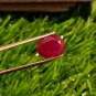 Mozambique Ruby 5.10 cts Blood Red Ruby UNHEATED 100%Natural Ruby Cut Stone.