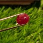 Mozambique Ruby 5.10 cts Blood Red Ruby UNHEATED 100%Natural Ruby Cut Stone.